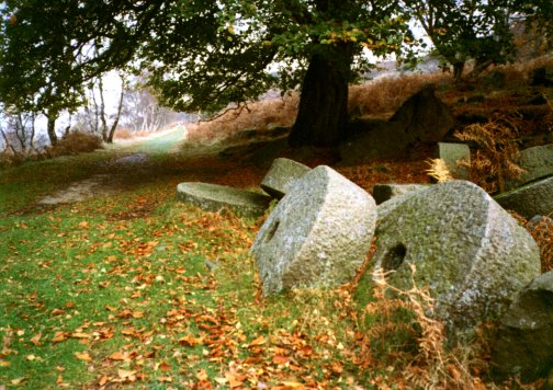 lawrencefield_millstones.jpg (69567 bytes)