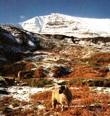 mam tor.jpg (72708 bytes)